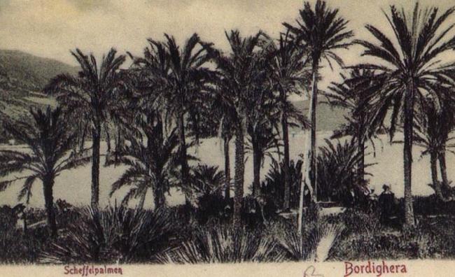 Pierre Renoir View of Bordighera:the Palms Postcard